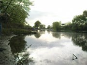 DSC04729.JPG