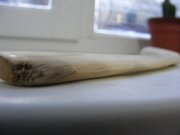 DSCF9232.jpg