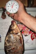 DSC04358+.JPG