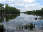 IMG_3077.jpg