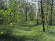SDC14423.jpg