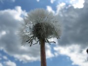 IMG_3159.jpg