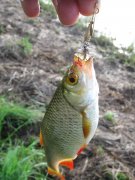 IMG_3128.jpg