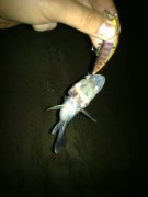 16052011071.jpg