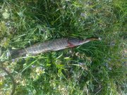 17052011068.jpg