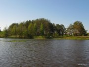 05.18.11 015.jpg