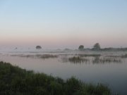 IMG_3177.jpg