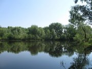 IMG_3196.jpg