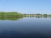 IMG_3188.jpg