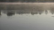 vlcsnap-2011-05-19-22h09m36s182.jpg