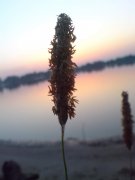 DSC00591.jpg