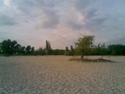 20052011(002).JPG