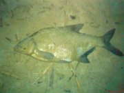 DSC00214.JPG