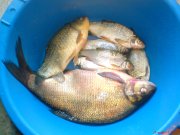 DSC00215.JPG