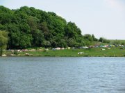 IMG_2295.jpg