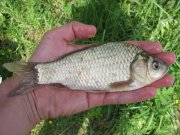 IMG_2302.jpg