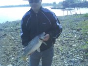 DSC00241.jpg
