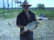 DSC00250.jpg