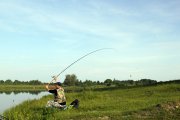 IMG_3661.jpg