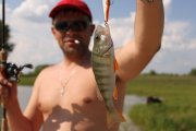 IMG_3900.jpg