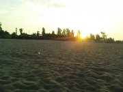 DSC04822.JPG