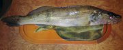 26052011102.jpg
