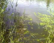 Photo-0017.jpg