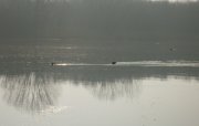 SDC13910.JPG