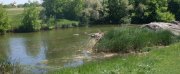 SDC14058.JPG