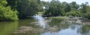 SDC14060.JPG