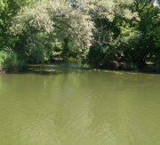 SDC14061.JPG