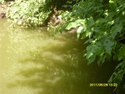 SDC14063.JPG