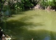 SDC14065.JPG