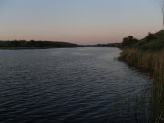 x_42e24689.jpg