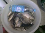 31052011566.jpg