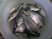 31052011567.jpg