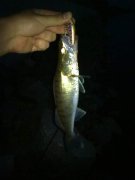 02062011114.jpg