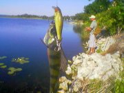 010602_081435.jpg