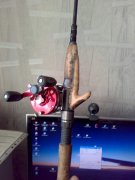01062011049.jpg