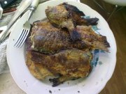 05062011569.jpg