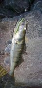 07062011120.jpg