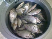 08062011578.jpg