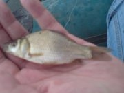 DSC00023.jpg