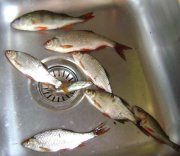 DSC02148_.jpg