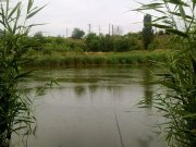 13062011420.jpg