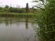 13062011421.jpg