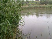 13062011422.jpg