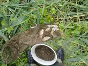13062011424.jpg