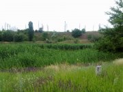 13062011426.jpg