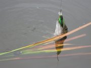 IMG_0028_1.jpg